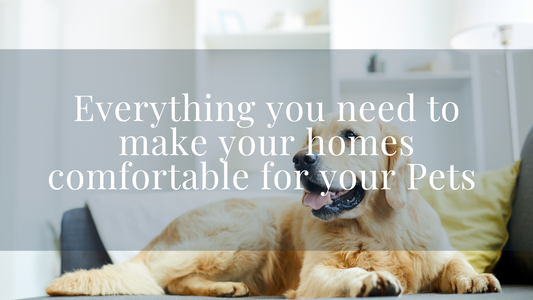 Everything you need to make your homes comfortable for your Pets