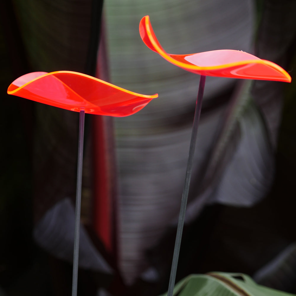 Suncatcher | Lucy-Medio | Medio wavy disc