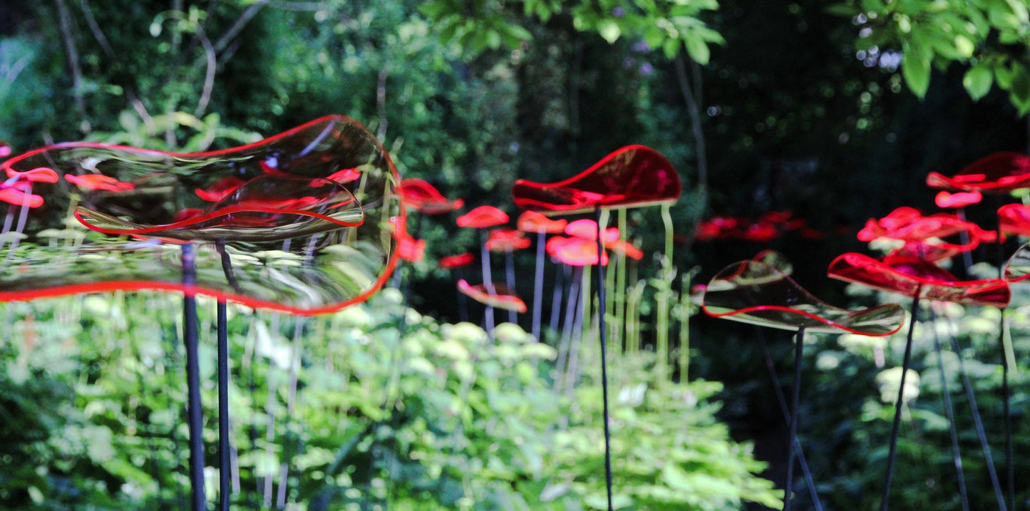 Suncatcher | Lucy-Medio | Medio wavy disc