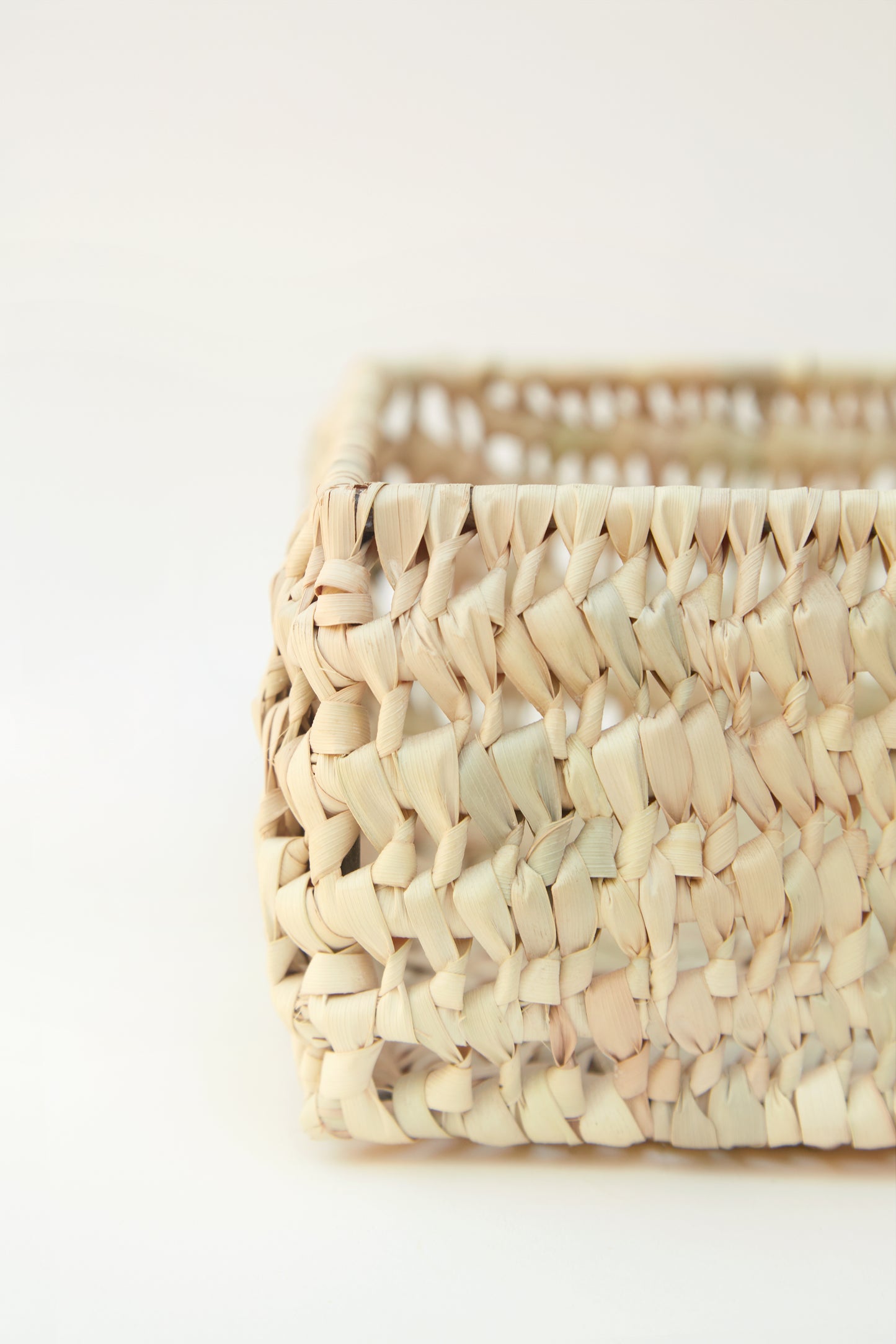 Raffia Tray